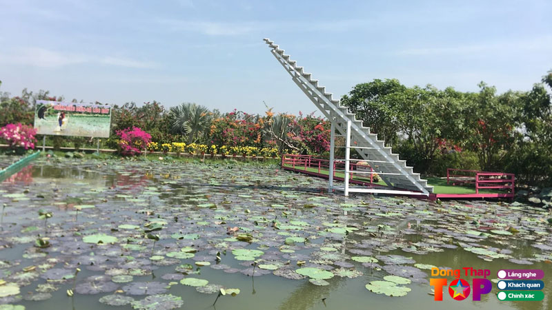 Nhung-trai-nghiem-hap-dan-tai-hoa-kieng-du-lich-khach-san-nha-hang-canh-dong-hoa-hong-3-dongthaptoplist