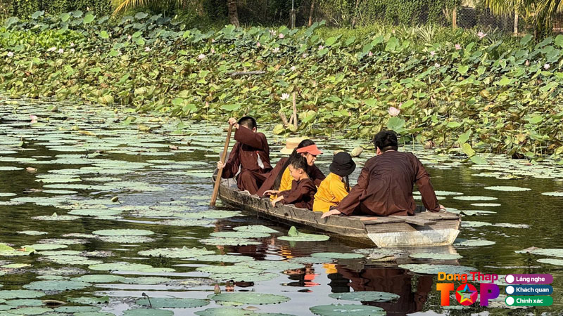 Cong-ty-tnhh-du-lich-wildbird-khach-san-ven-song-ly-tuong-cho-ky-nghi-yen-binh-3-dongthaptoplist